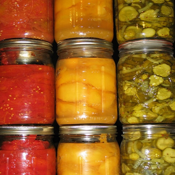 Servicios - Alimentos