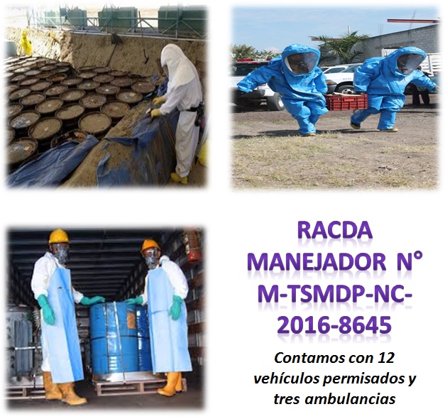 Servicios - Asesoría Tecnica